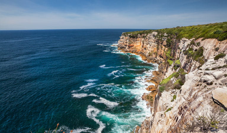 Stunning cliff tops views over the Pacific Ocean in Royal National Park. Photo: David Finnegan &copy; OEH