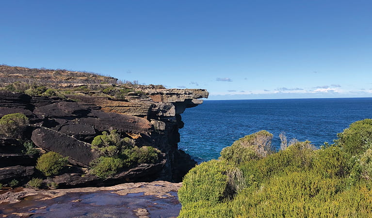 Views of a rock formation over the ocean, known as Eagle rock. Photo: Natasha Webb