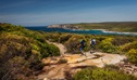 2 people walking through a low shrub along The Coast track with the coastline of Royal National Park in the background. Credit: David Finnegan / DCCEEW &copy; OEH