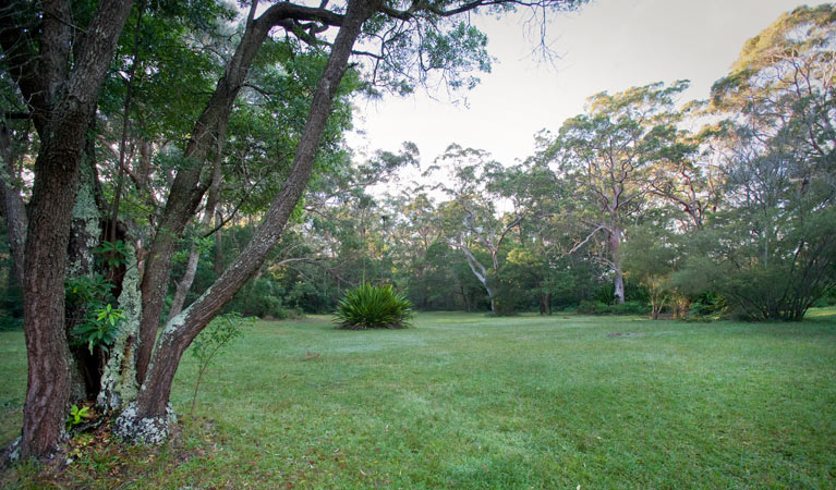 Waterfall Flat picnic area, Royal National Park. Photo: Nick Cubbin &copy; OEH