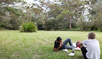 Waterfall Flat picnic area, Royal National Park. Photo: Andrew Richards