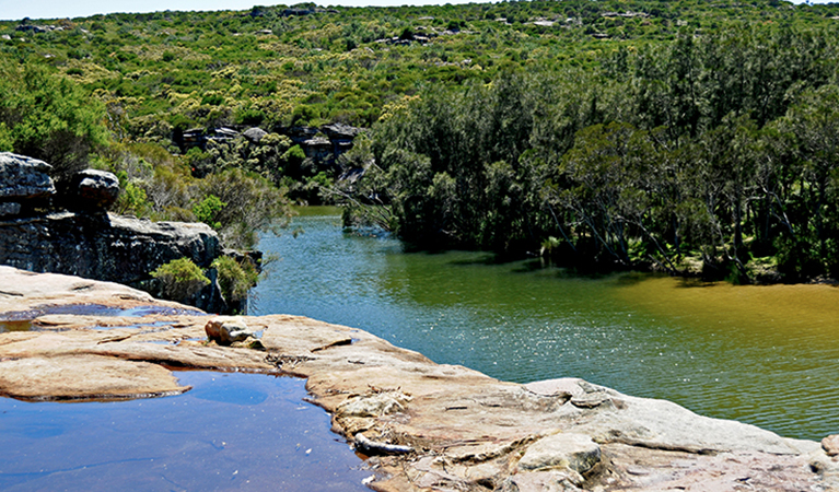 Lagoon at Wattamolla picnic area, Royal National Park. Photo: Kevin McGrath/OEH.