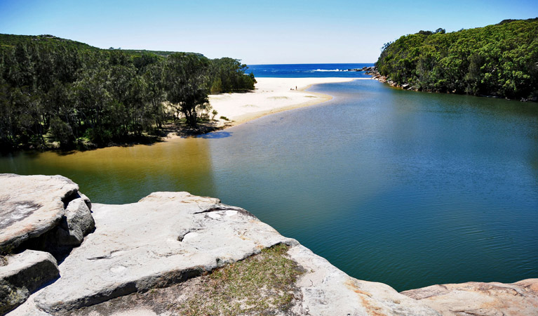 Wattamolla Beach and lagoon, Royal National Park. Photo: Kevin McGrath/OEH