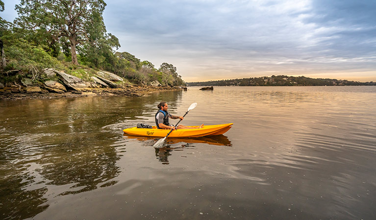 A man kayaks on Port Hacking, near Weemalah Cottage, Royal National Park. Photo: John Spencer/OEH