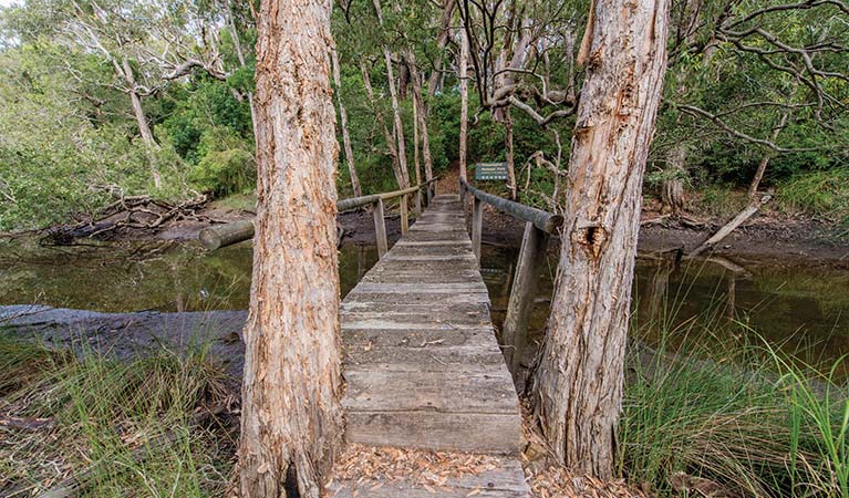 Bushland surrounding a footbridge along Five Islands walking track. John Spencer &copy; OEH
