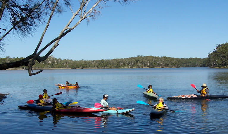 Canoeing, Khappinghat Creek, Saltwater National Park. Photo: Kevin Carter/NSW Government