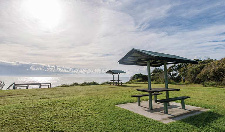 Saltwater picnic area. Photo: John Spencer/OEH