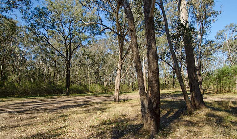 Scheyville National Park, Horseriding trails. Photo: John Spencer/NSW Government