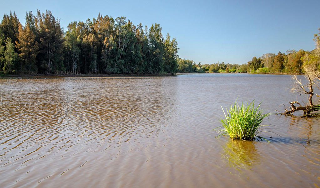 A view of Longneck lagoon from Longneck Lagoon walking track in Scheyville National Park. Credit: John Spencer &copy; DCCEEW
