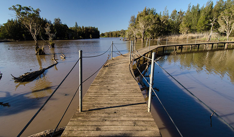 Longneck Lagoon walking track. Photo: John Spencer &copy; OEH