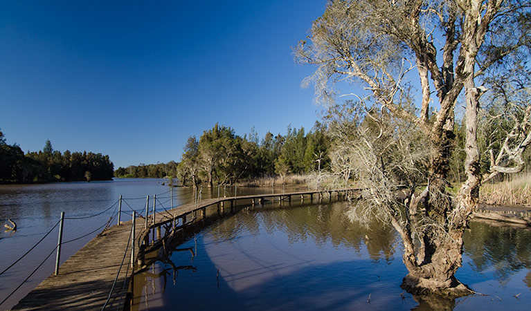 Longneck Lagoon walking track. Photo: John Spencer &copy; OEH