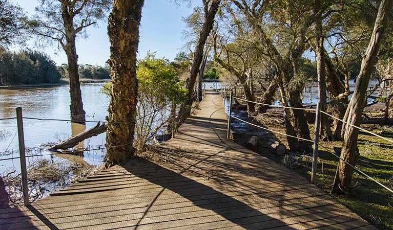 Longneck Lagoon walking track. Photo: John Spencer &copy; OEH