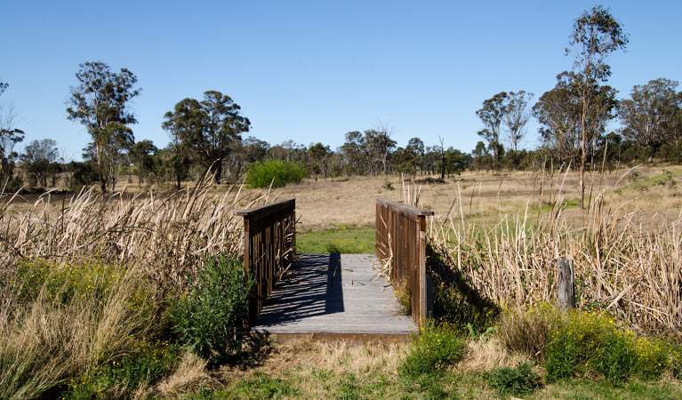 Migrant Heritage walk, Scheyville National Park. Photo: John Spencer &copy; OEH