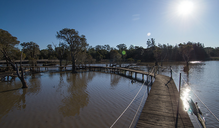 Longneck Lagoon walking track. Photo: John Spencer &copy; DPIE