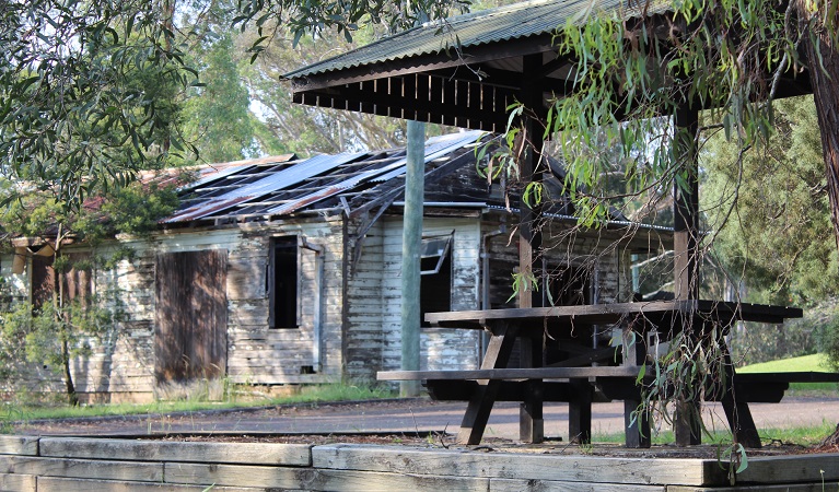 Hospital ruins in Scheyville National Park. Photo: Cathy Millard