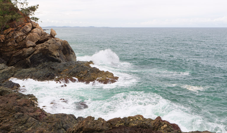 Port Macquarie coastal walk, Sea Acres National Park. Photo &copy; Rob Cleary