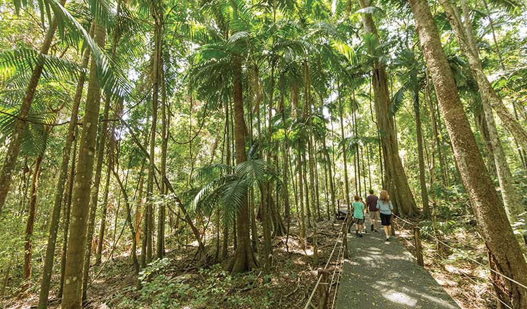 A family explores the Sea Acres rainforest boardwalk in Sea Acres National Park. Photo: D Finnegan &copy; OEH