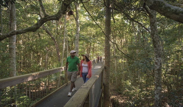 Couple strolling along Sea Acres Rainforest boardwalk. Photo: John Spencer &copy; OEH