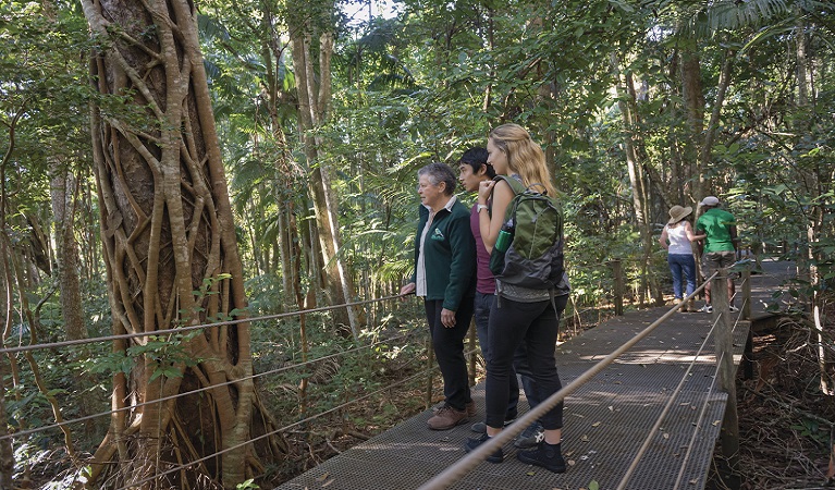 Couple and ranger examine strangler vine, along Sea Acres Rainforest boardwalk. Photo: John Spencer &copy; OEH 