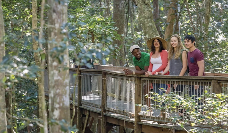 Visitors looking out from Sea Acres Rainforest boardwalk. Photo: John Spencer &copy; DPIE