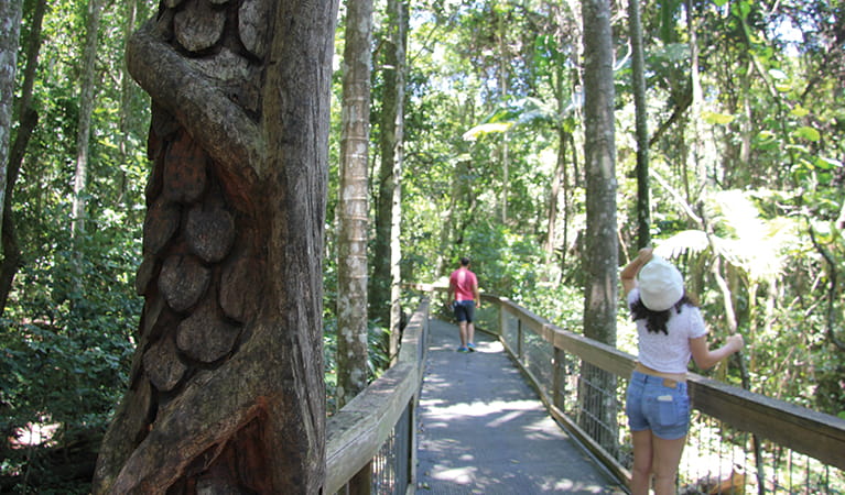 Girl looks up to tree tops with a large timber sculpture beside her on the walking track. Photo: Natasha Webb