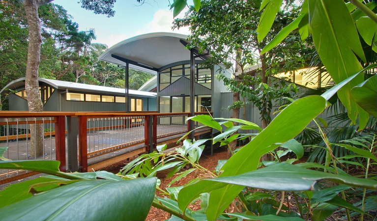 Sea Acres Rainforest boardwalk. Photo &copy; Jackson Rafferty