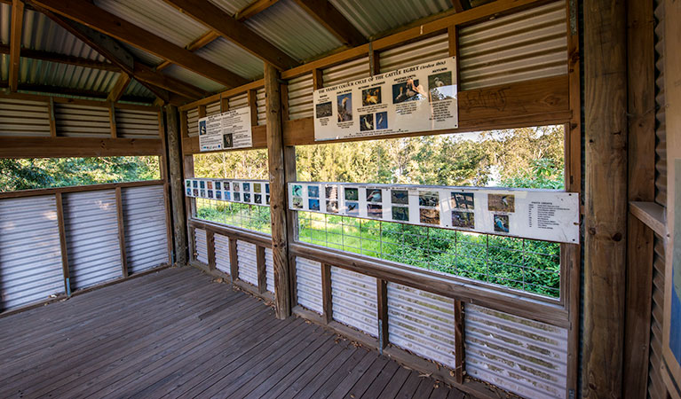 Seaham Swamp Nature Reserve. Photo: John Spencer &copy; DPIE