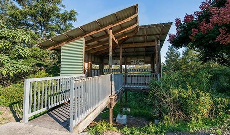 Seaham Swamp Bird Hide, Seaham Swamp Nature Reserve. Photo: John Spencer