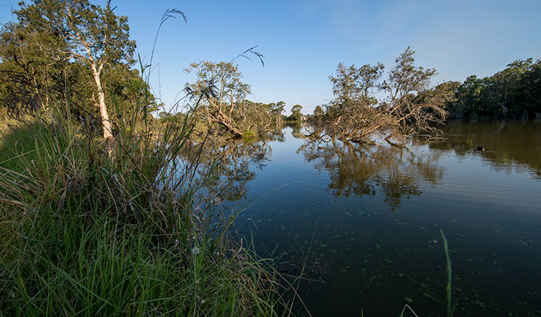 Seaham Swamp Bird Hide, Seaham Swamp Nature Reserve. Photo: John Spencer