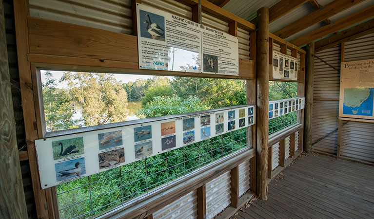 Seaham Swamp Bird Hide, Seaham Swamp Nature Reserve. Photo: John Spencer