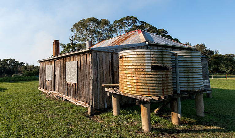 Seaham Swamp walk, Seaham Swamp Nature Reserve. Photo: John Spencer &copy; OEH