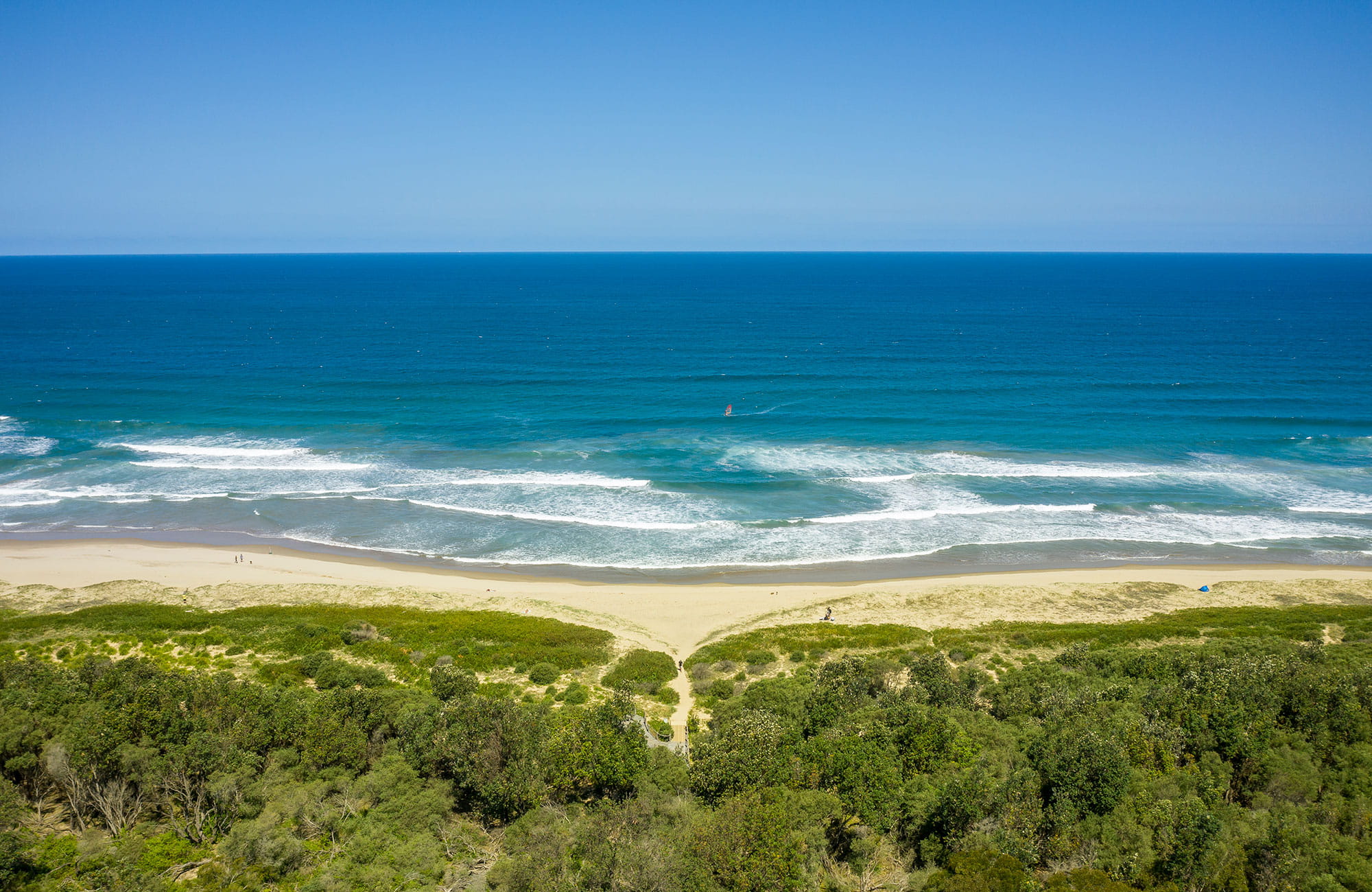The path from Beach Road to Seven Mile Beach in Seven Mile Beach National Park. Photo: John Spencer &copy; DPIE