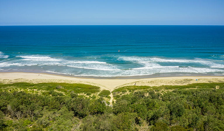 An aerial view of the path to the beach from Beach Road picnic area in Seven Mile Beach National Park. Photo: John Spencer &copy; DPIE