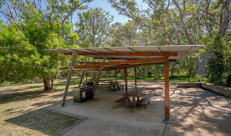 A large shelter with barbecues and picnic tables at Beach Road picnic area in Seven Mile Beach National Park. Photo: John Spencer &copy; DPIE