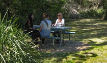 Gerroa Picnic Area, Seven Mile Beach National Park. Photo: P Lunnon