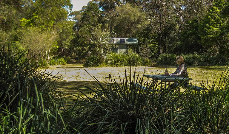 Gerroa Picnic Area, Seven Mile Beach National Park. Photo: P Lunnon