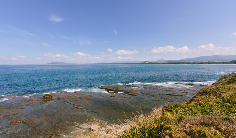 Seven Mile Beach, Seven Mile Beach National Park. Photo: David Finnegan/NSW Government