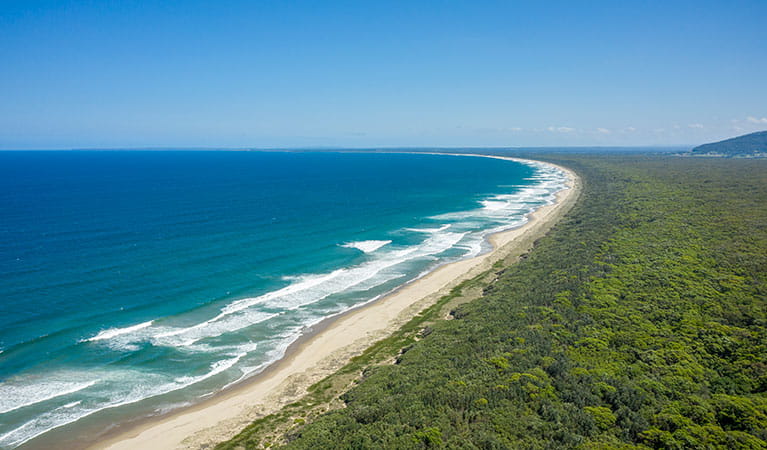 View of Seven Mile Beach looking south in Seven Mile Beach National Park. Photo: John Spencer &copy; DPIE