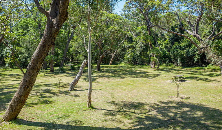 Aerial view of grassy clearing and picnic table surrounded by trees at Beach Road picnic area in Seven Mile Beach National Park. Photo: John Spencer &copy; DPIE