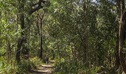 Sand Track South, Seven Mile Beach National Park. Photo: P Lunnon
