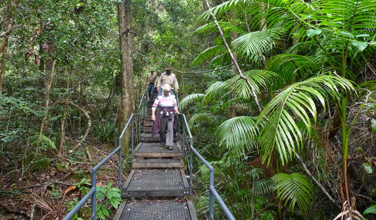 Falls walking track, Sherwood Nature Reserve. Photo: B Webster