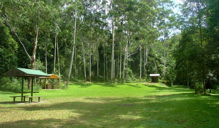 Woolgoolga Creek picnic area, Sherwood Nature Reserve. Photo: Lynn Rees &copy; OEH