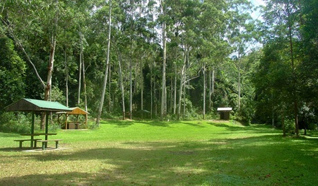 Woolgoolga Creek picnic area, Sherwood Nature Reserve. Photo: Lynn Rees &copy; OEH