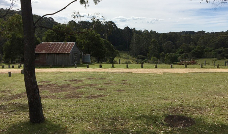 Grassy camping area with Alexanders hut in the background. Photo: Lawani Colley/OEH