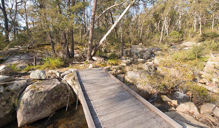 Myanba Gorge lookout, South East Forest National Park. Photo credit: John Spencer &copy; DPIE