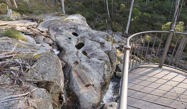 Myanba Gorge lookout, South East Forest National Park. Photo credit: John Spencer &copy; DPIE