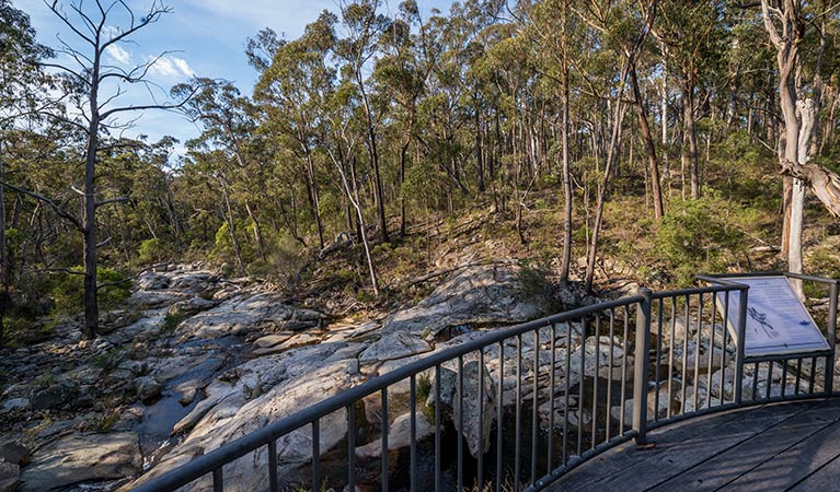 Myanba Gorge walking track, South East Forest National Park. Photo credit: John Spencer &copy; OEH