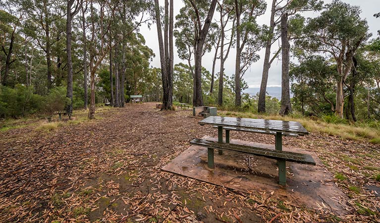 Myrtle Mountain lookout, South East Forest National Park. Photo credit: John Spencer &copy; DPIE