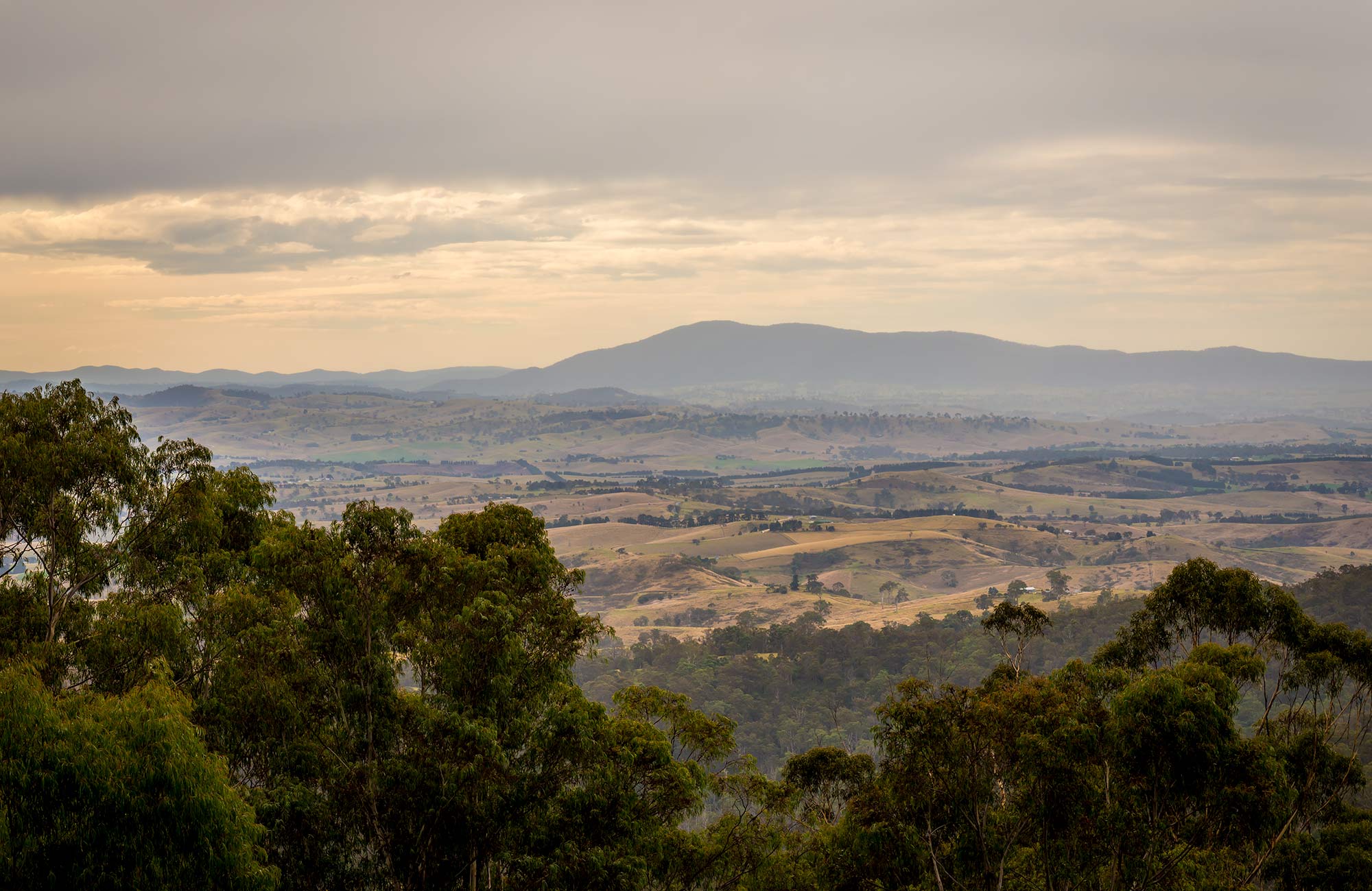 Myrtle Mountain lookout, South East Forest National Park. Photo credit: John Spencer &copy; DPIE
