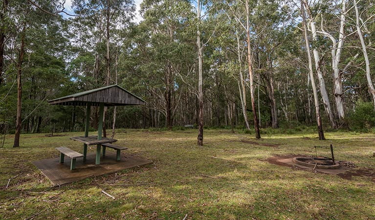 Nunnock camground site showing covered picnic table and fire ring in a grassy area, with forest backdrop. Photo: John Spencer/OEH
